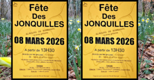Fête des jonquilles – Rumengol